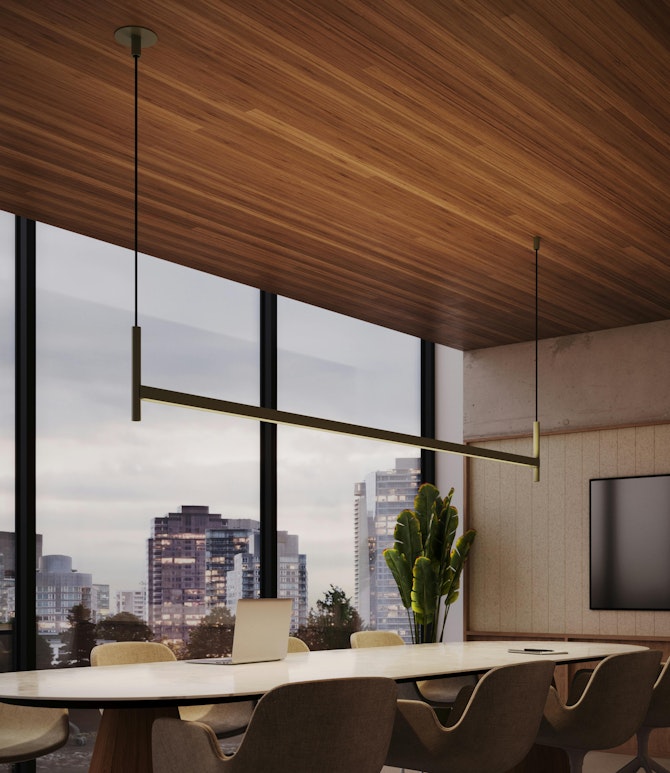 Segment Luminaire