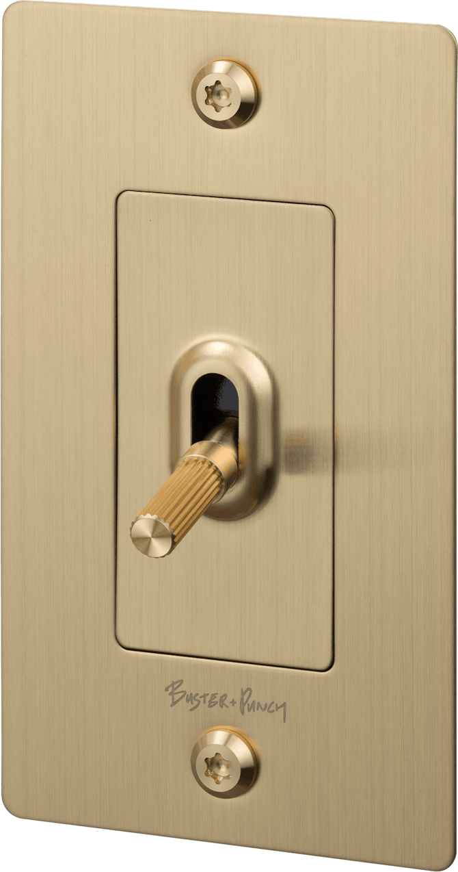 IG Toggle Light Switch in Brass