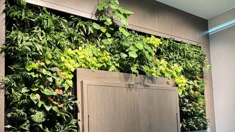Felt-Based Living Wall System