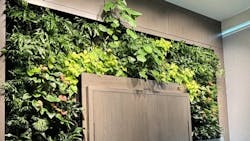 Felt-Based Living Wall System Felt-Based Living Wall System