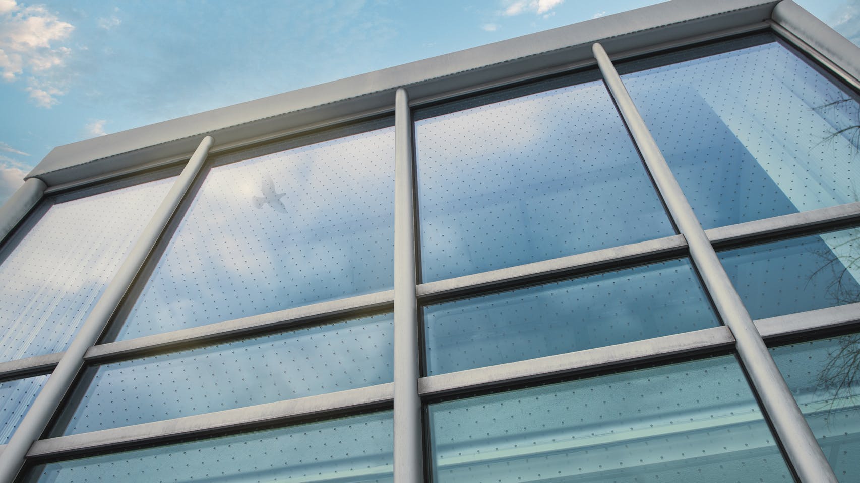 BirdSmart Bird Safe Glass