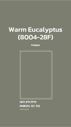 Color square of Warm Eucalyptus. Color square of Warm Eucalyptus.