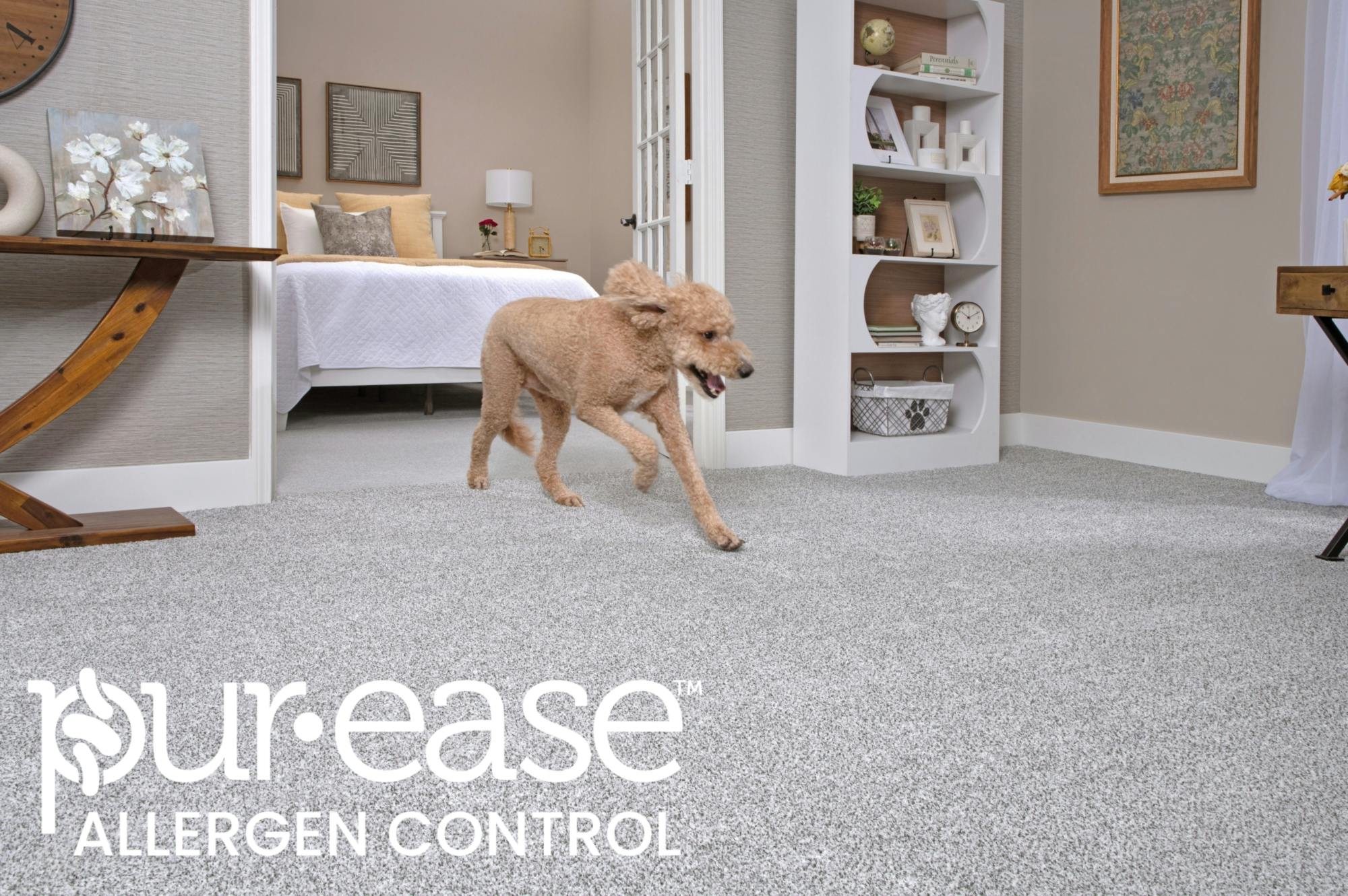 SmartStrand Color Wall with Pur-Ease