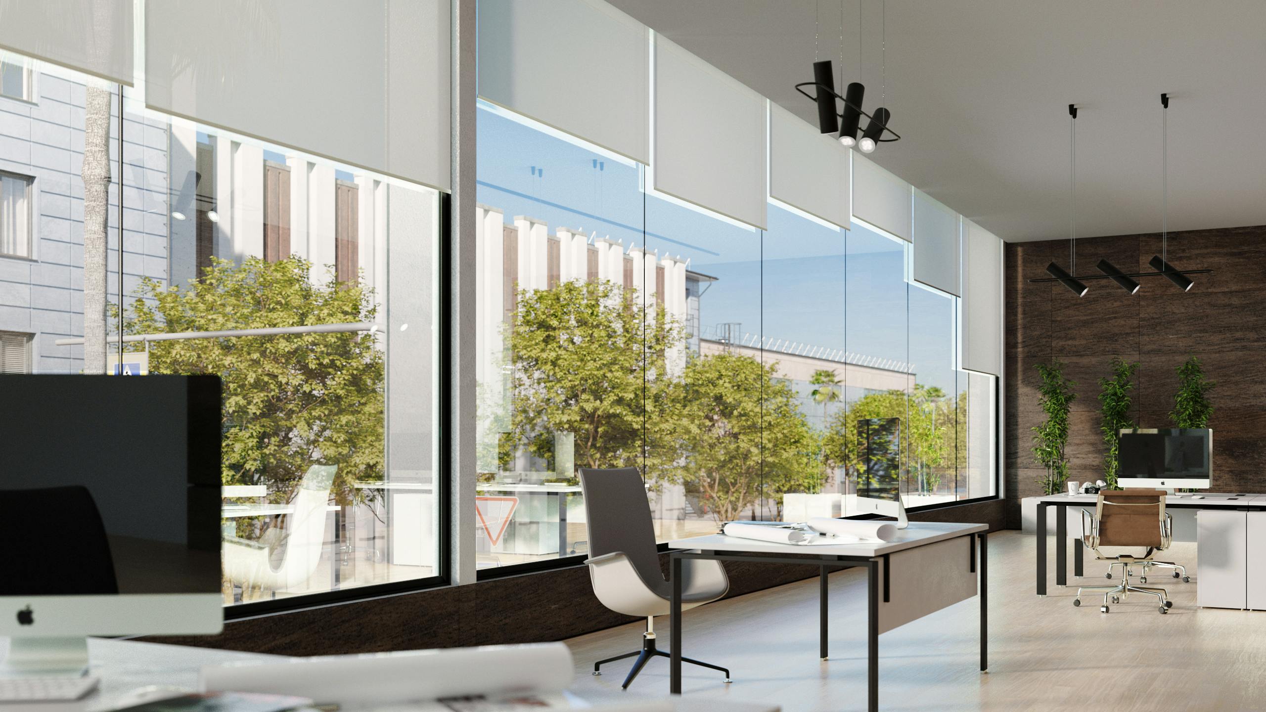 Thin Line Vista Window System