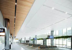 Ceiling with white ceiling tile and wood ceiling panels with Axiom design trench with integrated lighting.