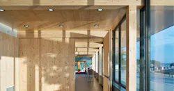 Interior of mass timber-constructed building with architectural appearance grade CLT panels.