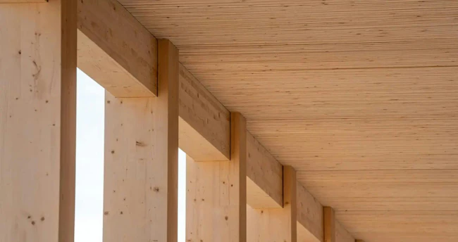 Dowel-laminated timber panels