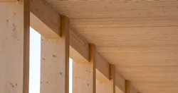 Dowel-laminated timber panels