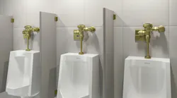 Three urinals with handles in new brushed brass PVD finish.