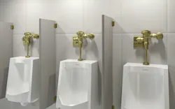 Three urinals with handles in new brushed brass PVD finish.